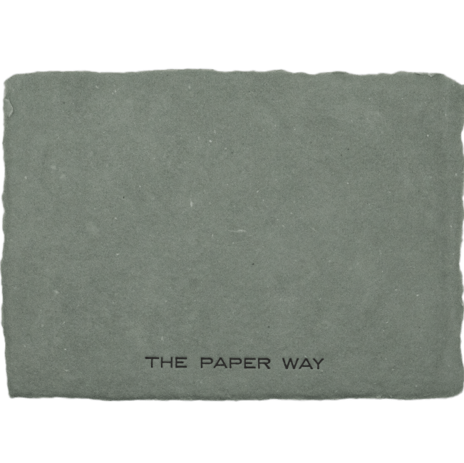 Sage Notecards (6 - Pack) - The Paper Way