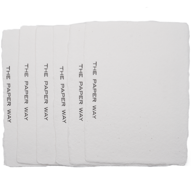 Ivory Notecards (6 - pack) - The Paper Way