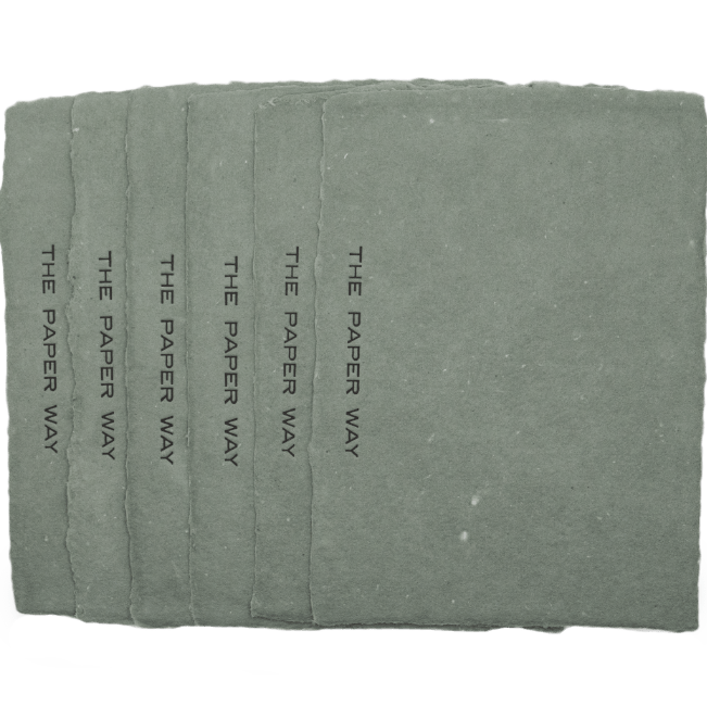 Sage Notecards (6 - Pack) - The Paper Way