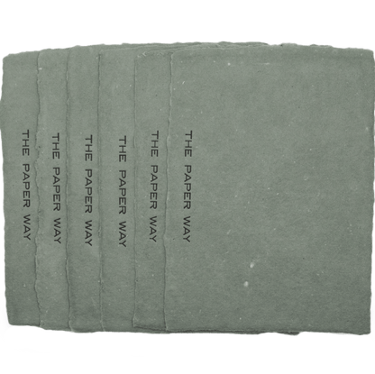 Sage Notecards (6 - Pack) - The Paper Way